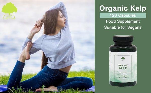 Organic KELP Supplement | 500mg