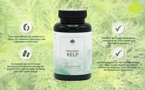 Organic KELP Supplement | 500mg